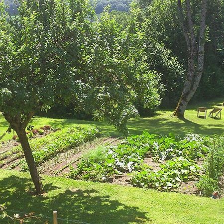 L'Ourserie Bed & Breakfast Saint-Paul-en-Chablais Ngoại thất bức ảnh