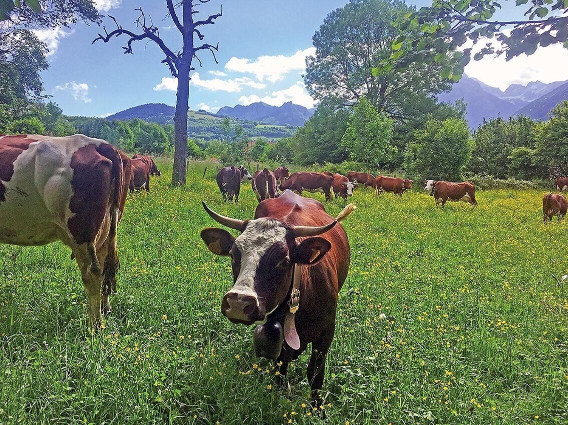 L'Ourserie Bed & Breakfast Saint-Paul-en-Chablais Phòng bức ảnh